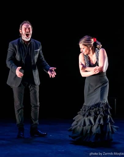 Summer 2025 Online Flamenco Dance Workshops
