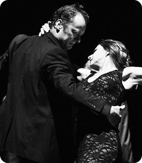 Global Flamenco Excellence Led by Omayra Amaya